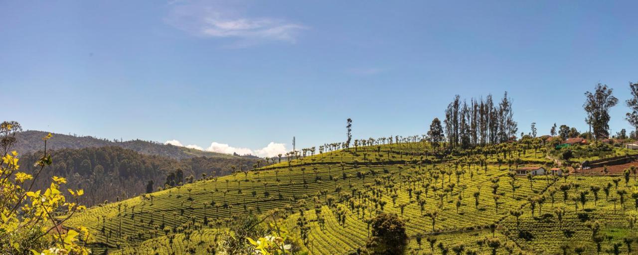 Club Mahindra Derby Green, Ooty Ngoại thất bức ảnh